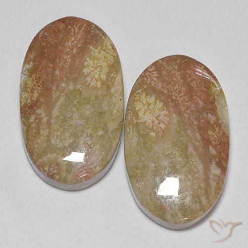 30.58ctw Natürlicher Mehrfarbig Korallen-Fossil, Oval, Lichtundurchlässig