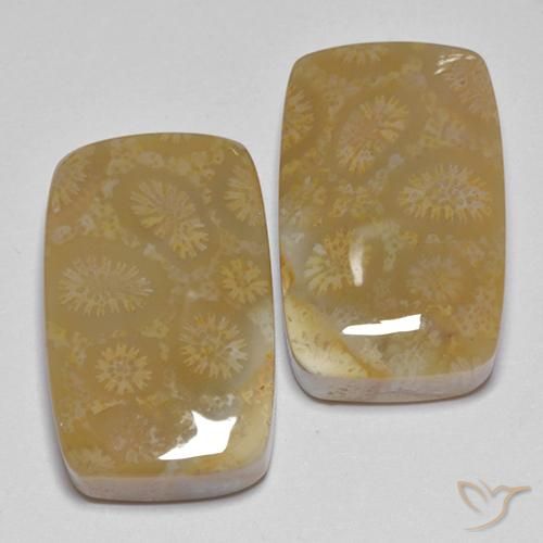 35.99 ct natürliche Mehrfarbig Korallen-Fossil-Edelsteine, Kissen, Lichtundurchlässig