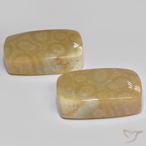 35.99 ct natürliche Mehrfarbig Korallen-Fossil-Edelsteine, Kissen, Lichtundurchlässig