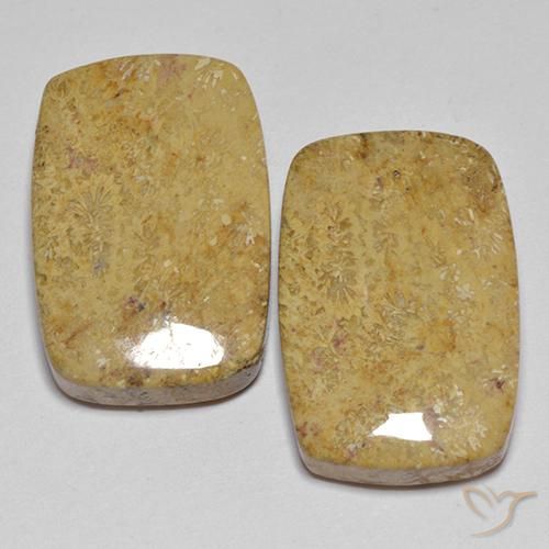 28.04ctw Natürlicher Mehrfarbig Korallen-Fossil, Kissen, Lichtundurchlässig