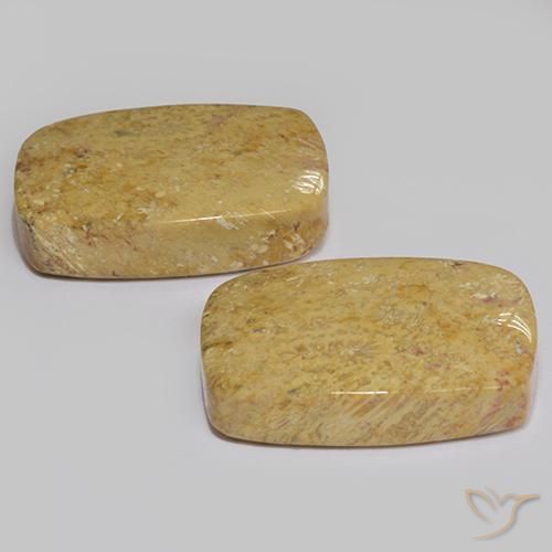 28.04 ct natürliche Mehrfarbig Korallen-Fossil-Edelsteine, Kissen, Lichtundurchlässig