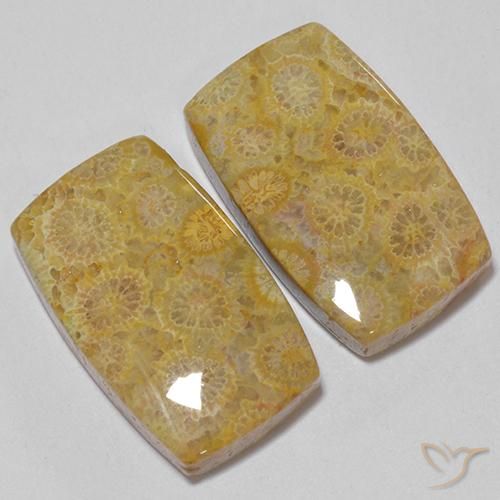 28.73 ct natürliche Mehrfarbig Korallen-Fossil-Edelsteine, Kissen, Lichtundurchlässig