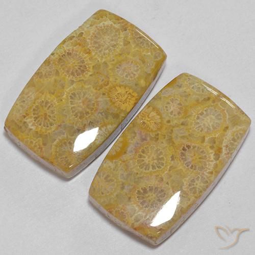 28.73 ct natürliche Mehrfarbig Korallen-Fossil-Edelsteine, Kissen, Lichtundurchlässig