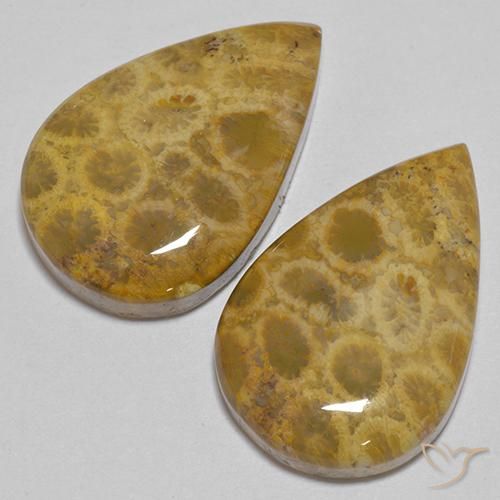 40.40 ct natürliche Mehrfarbig Korallen-Fossil-Edelsteine, Birnenform, Lichtundurchlässig