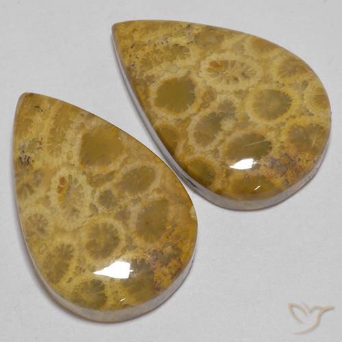 40.40 ct natürliche Mehrfarbig Korallen-Fossil-Edelsteine, Birnenform, Lichtundurchlässig