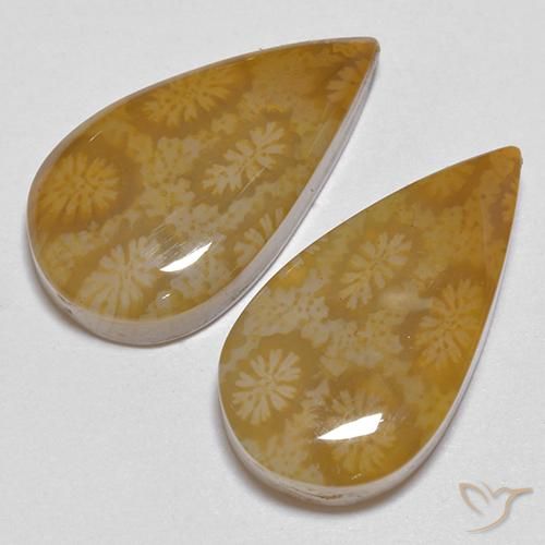 21.24 ct natürliche Mehrfarbig Korallen-Fossil-Edelsteine, Birnenform, Lichtundurchlässig