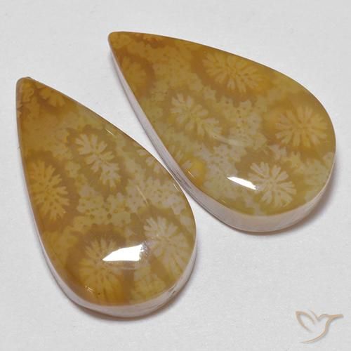 21.24 ct natürliche Mehrfarbig Korallen-Fossil-Edelsteine, Birnenform, Lichtundurchlässig