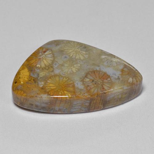 9,17 ctw natürlicher Mehrfarbig Korallen-Fossil, Ausgefallene Form, Lichtundurchlässig