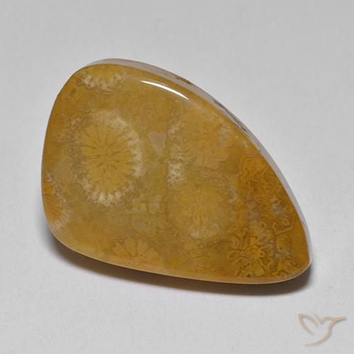 9,17 ctw natürlicher Mehrfarbig Korallen-Fossil, Fantasie, Lichtundurchlässig
