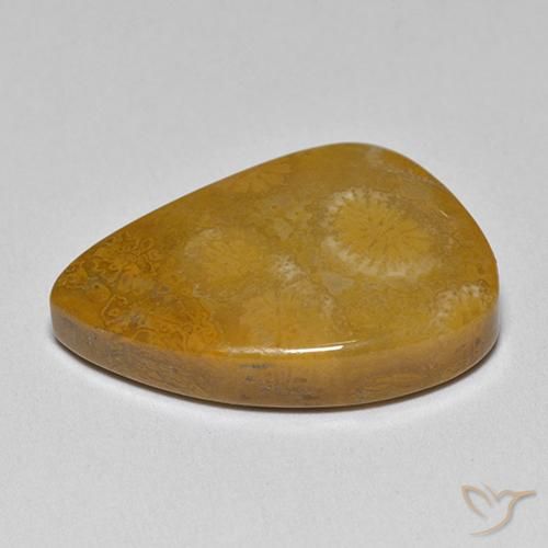 9,17 ctw natürlicher Mehrfarbig Korallen-Fossil, Fantasie, Lichtundurchlässig
