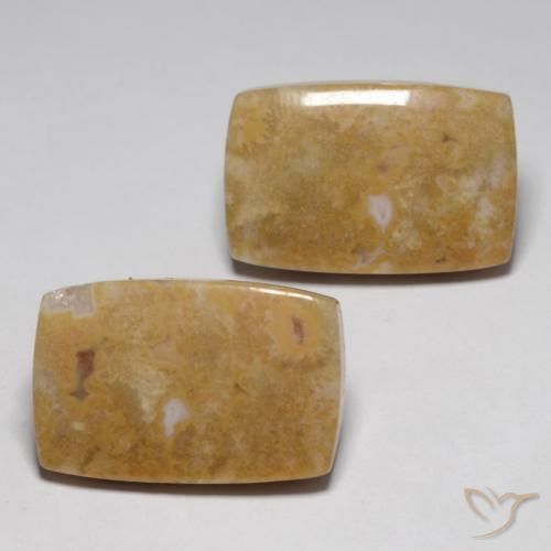 29.09 ct natürliche Mehrfarbig Korallen-Fossil-Edelsteine, Kissen, Lichtundurchlässig
