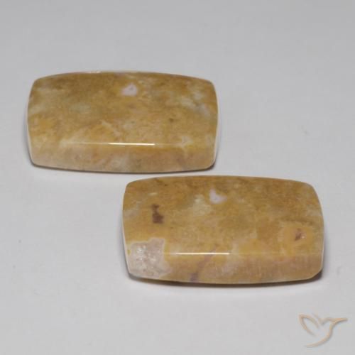 29.09 ct natürliche Mehrfarbig Korallen-Fossil-Edelsteine, Kissen, Lichtundurchlässig