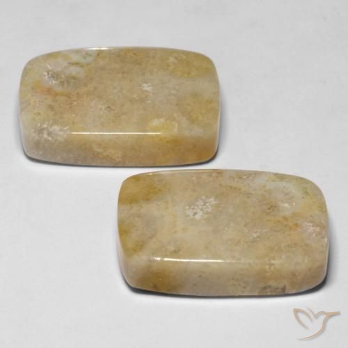 30.53 ct natürliche Mehrfarbig Korallen-Fossil-Edelsteine, Kissen, Lichtundurchlässig