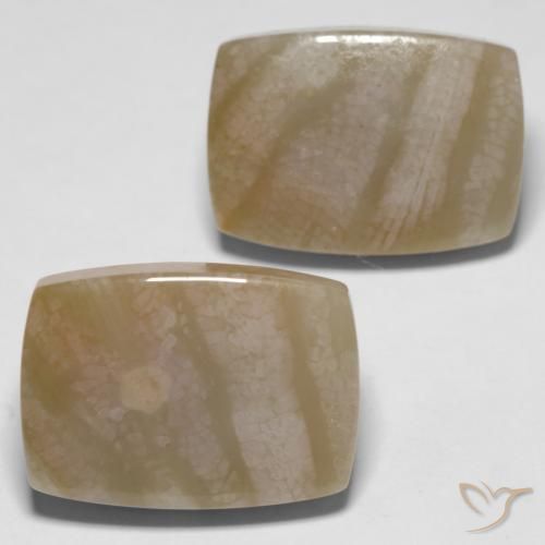 27.98 ct natürliche Mehrfarbig Korallen-Fossil-Edelsteine, Kissen, Lichtundurchlässig
