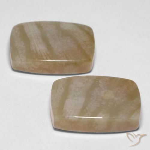 27.98 ct natürliche Mehrfarbig Korallen-Fossil-Edelsteine, Kissen, Lichtundurchlässig