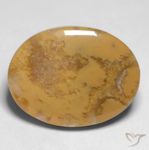 12.65ct Natürlicher Mehrfarbig Korallen-Fossil, Oval, Lichtundurchlässig