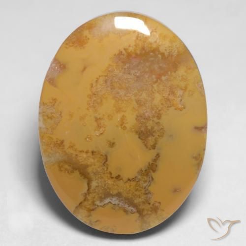 9,17 ctw natürlicher Mehrfarbig Korallen-Fossil, Oval, Lichtundurchlässig