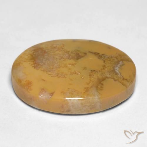 9,17 ctw natürlicher Mehrfarbig Korallen-Fossil, Oval, Lichtundurchlässig