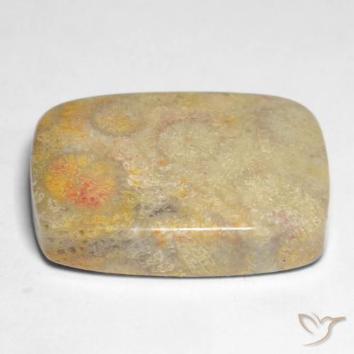 9,17 ctw natürlicher Mehrfarbig Korallen-Fossil, Kissen, Lichtundurchlässig