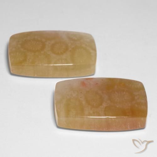 31.00 ct natürliche Mehrfarbig Korallen-Fossil-Edelsteine, Kissen, Lichtdurchlässig