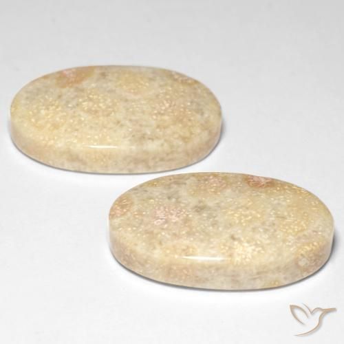29.31 ct natürliche Mehrfarbig Korallen-Fossil-Edelsteine, Oval, Lichtundurchlässig