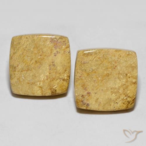 30.55ctw Natürlicher Mehrfarbig Korallen-Fossil, Kissen, Lichtundurchlässig