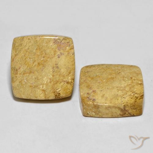 30.55 ct natürliche Mehrfarbig Korallen-Fossil-Edelsteine, Kissen, Lichtundurchlässig