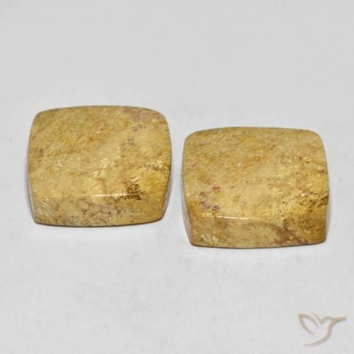 30.55 ct natürliche Mehrfarbig Korallen-Fossil-Edelsteine, Kissen, Lichtundurchlässig