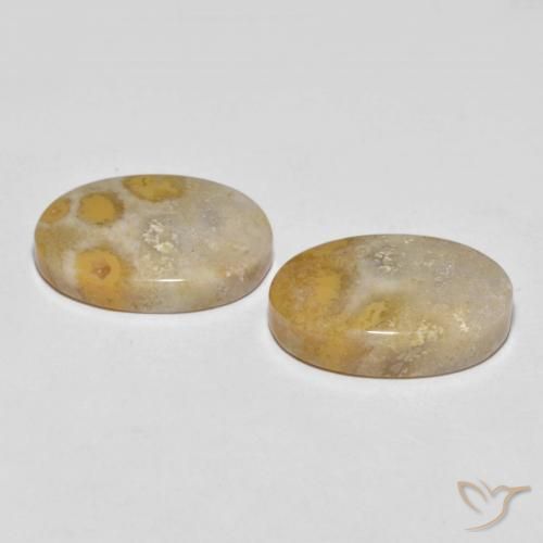 25.55 ct natürliche Mehrfarbig Korallen-Fossil-Edelsteine, Oval, Lichtundurchlässig