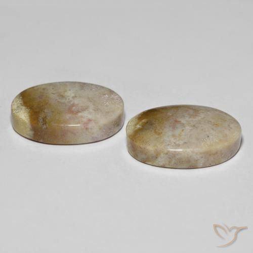 34.92 ct natürliche Mehrfarbig Korallen-Fossil-Edelsteine, Oval, Lichtundurchlässig
