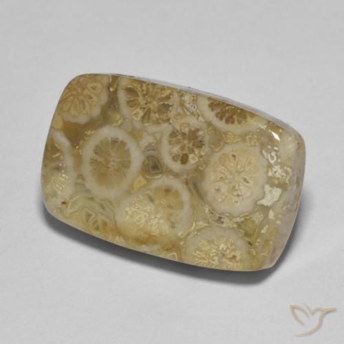9,17 ctw natürlicher Mehrfarbig Korallen-Fossil, Kissen, Lichtundurchlässig