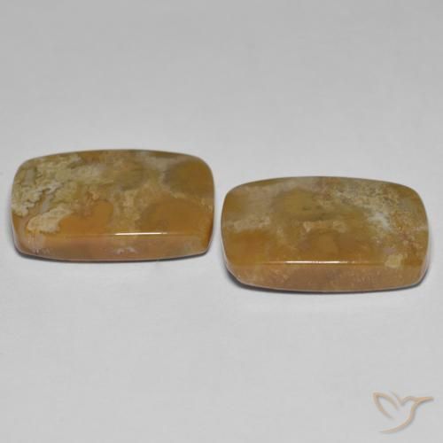 25.23 ct natürliche Mehrfarbig Korallen-Fossil-Edelsteine, Kissen, Lichtundurchlässig