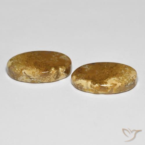 20.87 ct natürliche Mehrfarbig Korallen-Fossil-Edelsteine, Oval, Lichtundurchlässig