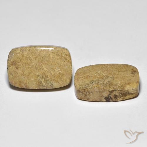 23.12 ct natürliche Mehrfarbig Korallen-Fossil-Edelsteine, Kissen, Lichtundurchlässig