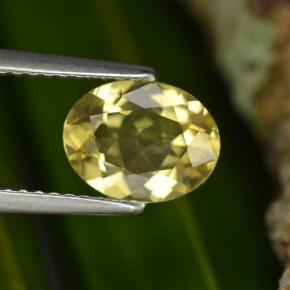 1,22 ctw natürlicher gelber Goldberyll, Oval Schliff, VVS-VS