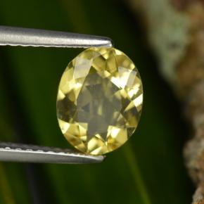 1,22 ctw natürlicher gelber Goldberyll, Oval Schliff, VVS-VS
