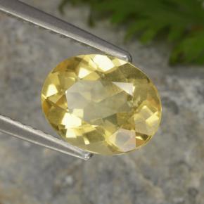 1,48 ctw natürlicher gelber Goldberyll, Oval Schliff, VS