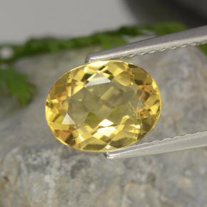 1,52 ctw natürlicher gelber Goldberyll, Oval Schliff, VVS-VS