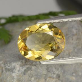 1,52 ctw natürlicher gelber Goldberyll, Oval Schliff, VVS-VS