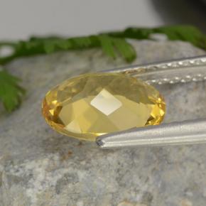 1,52 ctw natürlicher gelber Goldberyll, Oval Schliff, VVS-VS