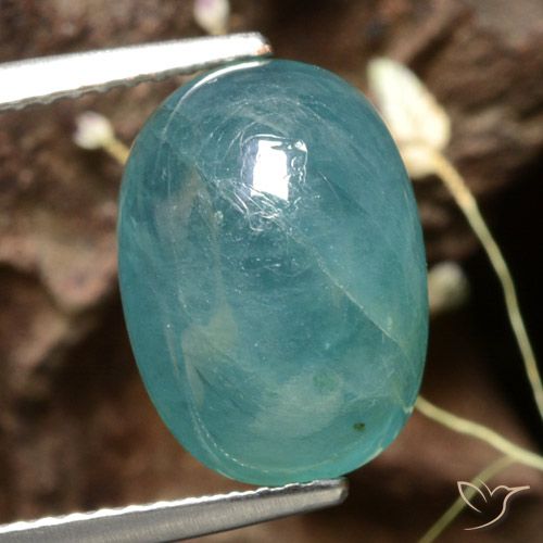 6.02ct Natürlicher Mittel-Dunkelblau Grün Grandidierit, Oval, Lichtdurchlässig