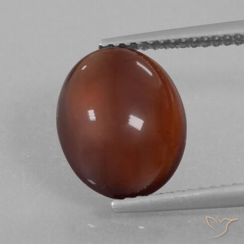 5.35ct Natürlicher Warmes Braun Hessonit-Granat, Oval, Lichtdurchlässig
