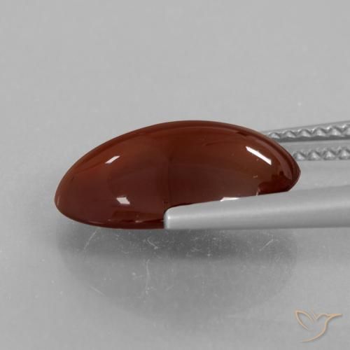 9,17 ctw natürlicher Warmes Braun Hessonit-Granat, Oval, Lichtdurchlässig