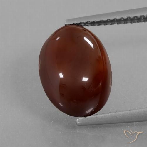 6.21ct Natürlicher Mittel-Dunkelbraun Hessonit-Granat, Oval, Lichtdurchlässig
