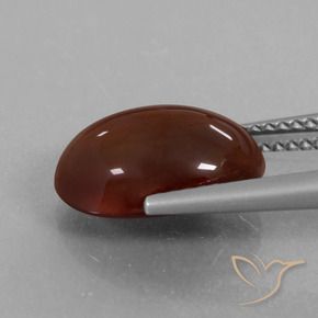 9,17 ctw natürlicher Mittel-Dunkelbraun Hessonit-Granat, Oval, Lichtdurchlässig