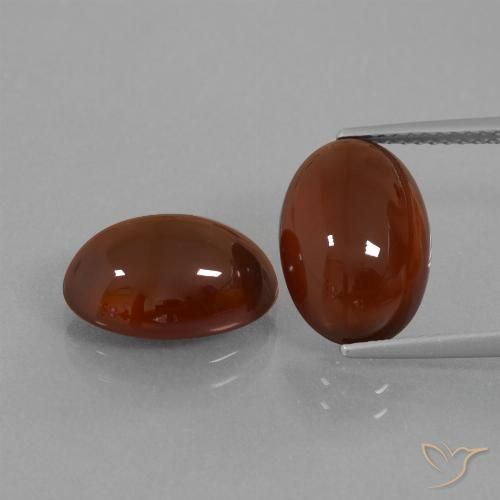 12.22ctw Natürlicher Mittel-Dunkelbraun Hessonit-Granat, Oval, Lichtdurchlässig