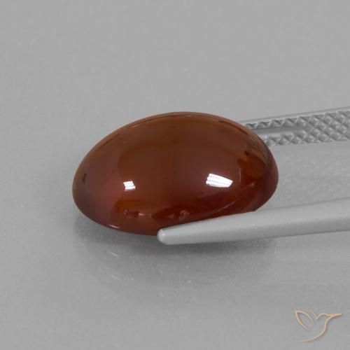 9,17 ctw natürlicher Mittel-Dunkelbraun Hessonit-Granat, Oval, Lichtdurchlässig