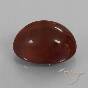 9,17 ctw natürlicher Pekannussbraun Hessonit-Granat, Oval, Lichtdurchlässig