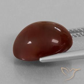 9,17 ctw natürlicher Pekannussbraun Hessonit-Granat, Oval, Lichtdurchlässig