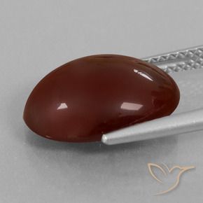9,17 ctw natürlicher Pekannussbraun Hessonit-Granat, Oval, Lichtdurchlässig